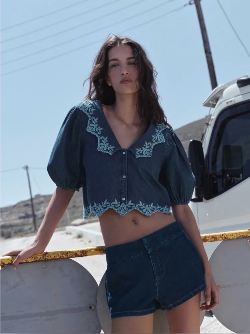 Zara Embroidered Denim Collared Button Up Blouse